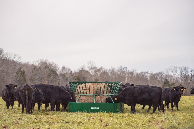 Bextra by Tarter Hay Feeder - Tarter