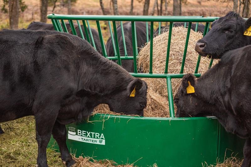 Bextra by Tarter Hay Feeder - Tarter