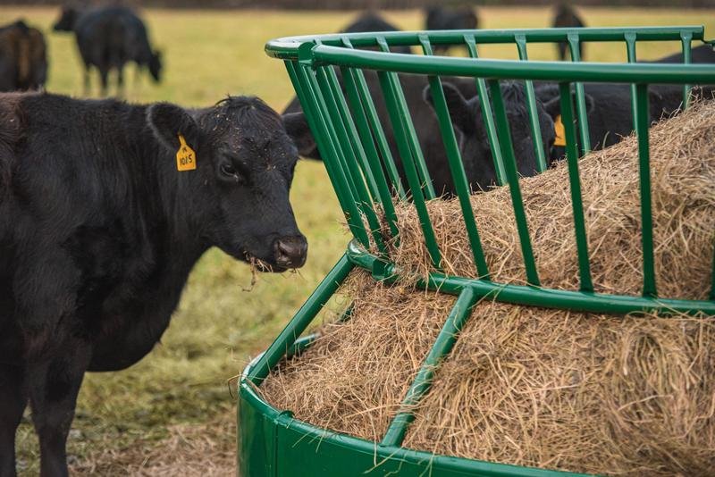 Bextra by Tarter Hay Feeder - Tarter