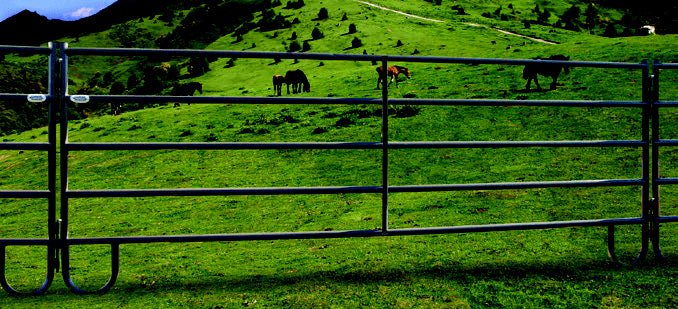 Powder River 5 - Rail AG Panels - Powder River