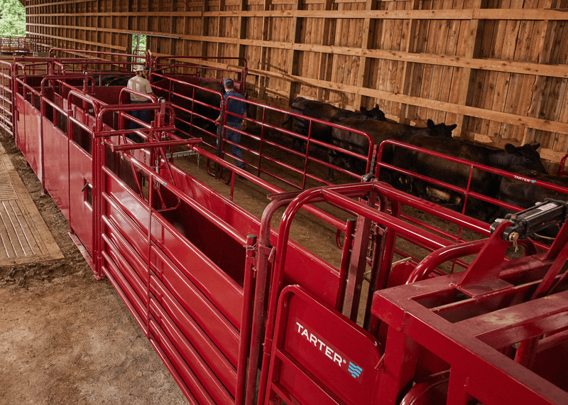 Tarter 180º x 20 Cattlemaster Sheeted Sweep System - Tarter