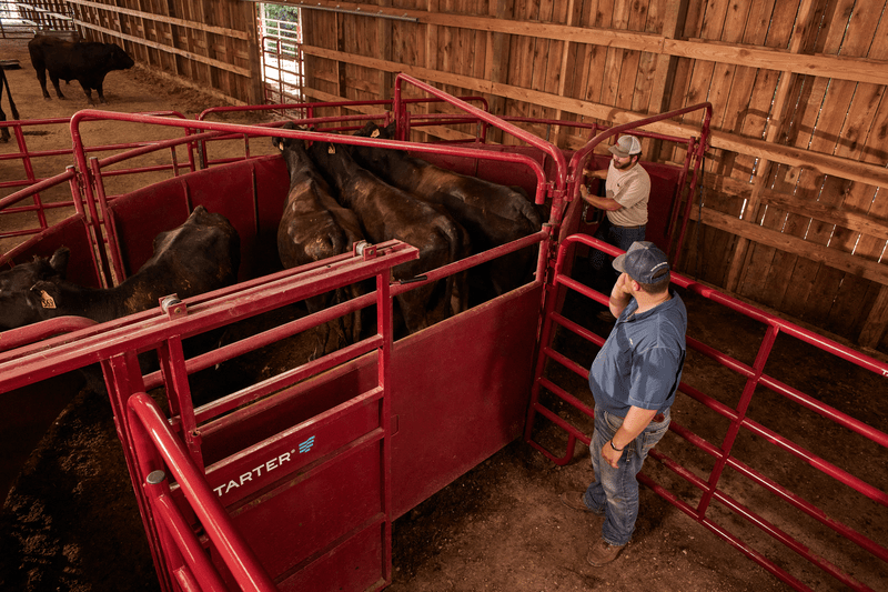 Tarter 180º x 20 Cattlemaster Sheeted Sweep System - Tarter