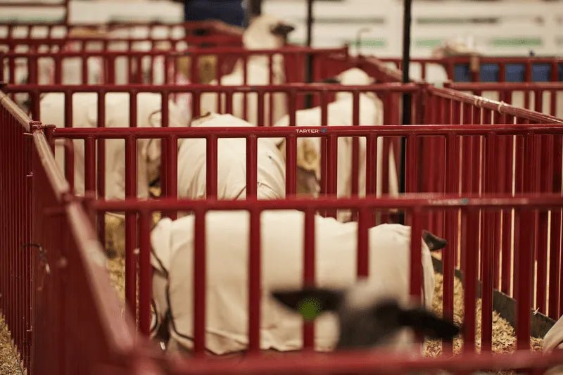 Tarter 6 FT. Heavy - Duty Vertical Bar Small Animal Panel - Tarter