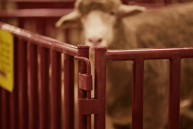 Tarter 6 FT. Heavy - Duty Vertical Bar Small Animal Panel - Tarter