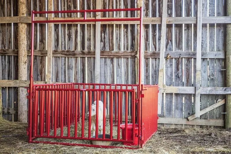 Tarter 6 FT. Vertical Bar Small Animal Walk - Thru - Tarter