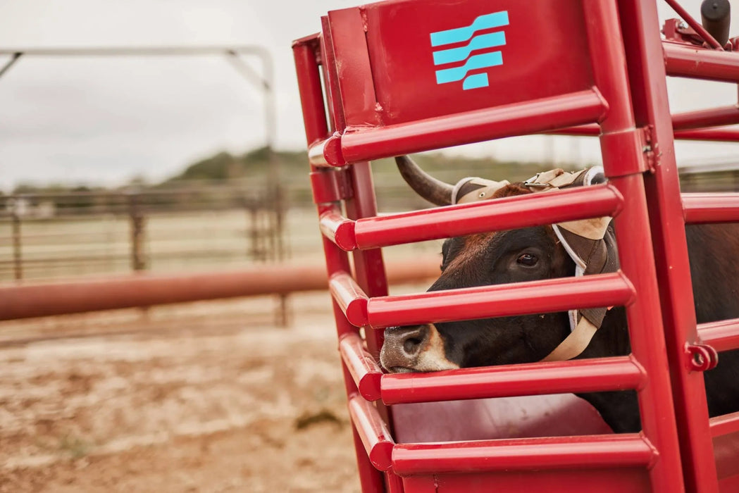 Tarter American Roping Chute - Tarter