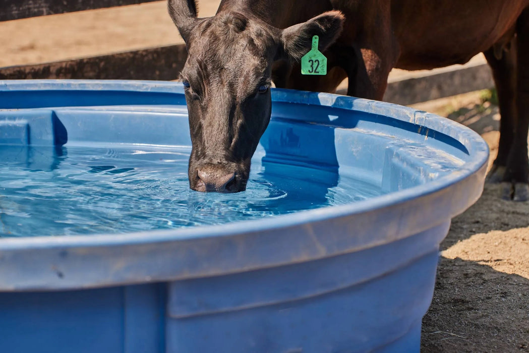 Tarter Big Blue Poly Tank - Tarter