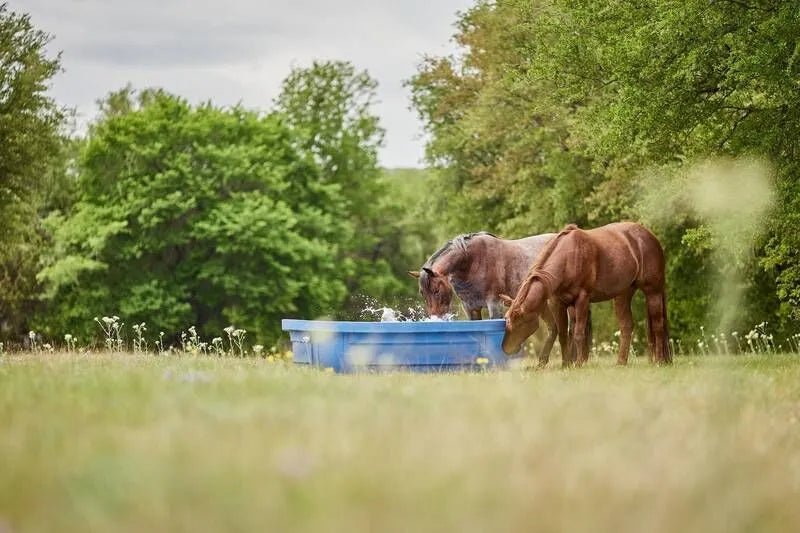 Tarter Big Blue Poly Tank - Tarter