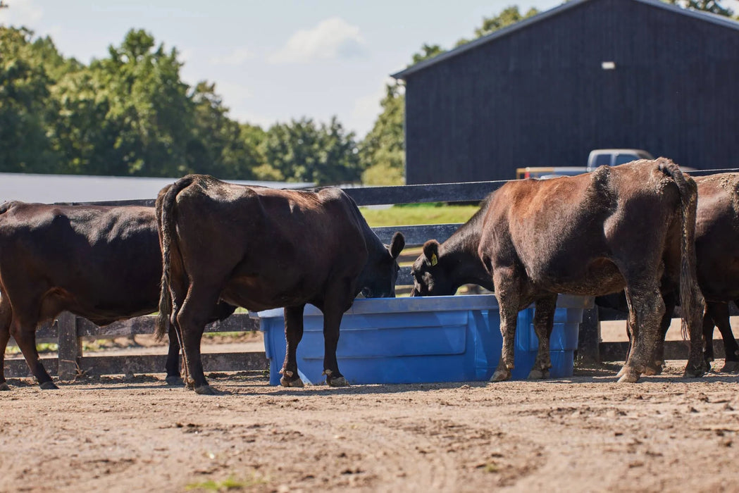 Tarter Big Blue Poly Tank - Tarter