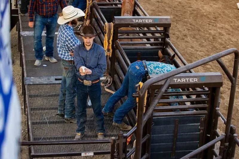 Tarter Bucking Chute Platform - Tarter