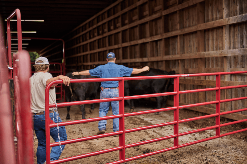 Tarter Bullmax HD Round Corner Gate - Tarter