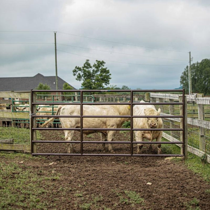 Tarter Bullmax XD Square Corner Gate - Tarter