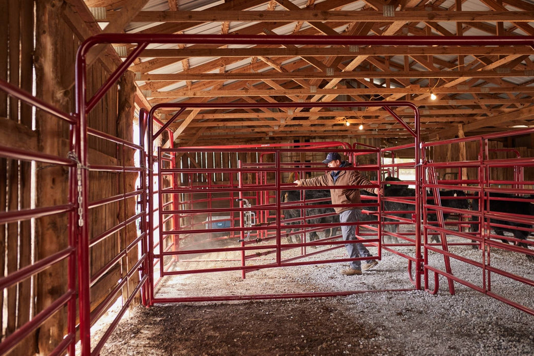 Tarter Cattlemaster Bow - Tarter