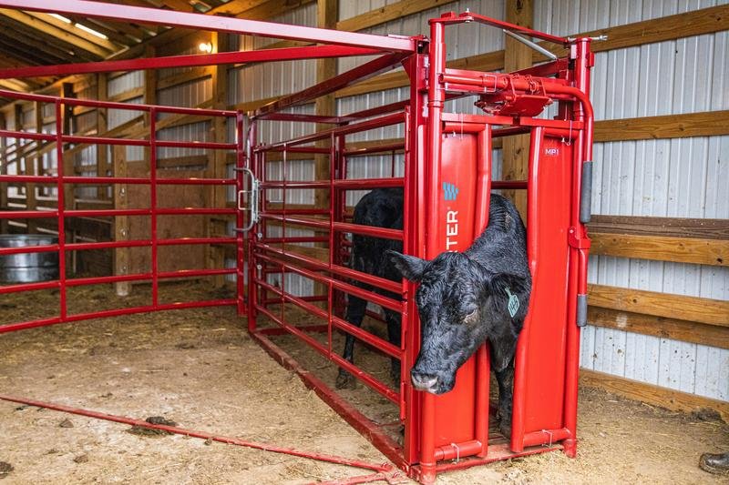 Tarter Cattlemaster Maternity Pen - Tarter