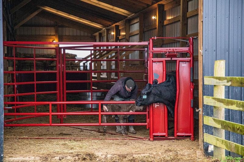 Tarter Cattlemaster Maternity Pen - Tarter