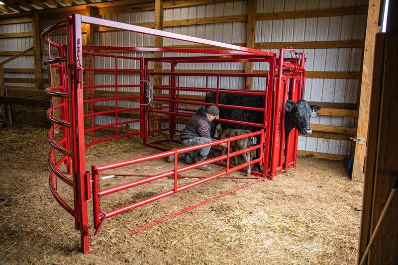 Tarter Cattlemaster Maternity Pen - Tarter