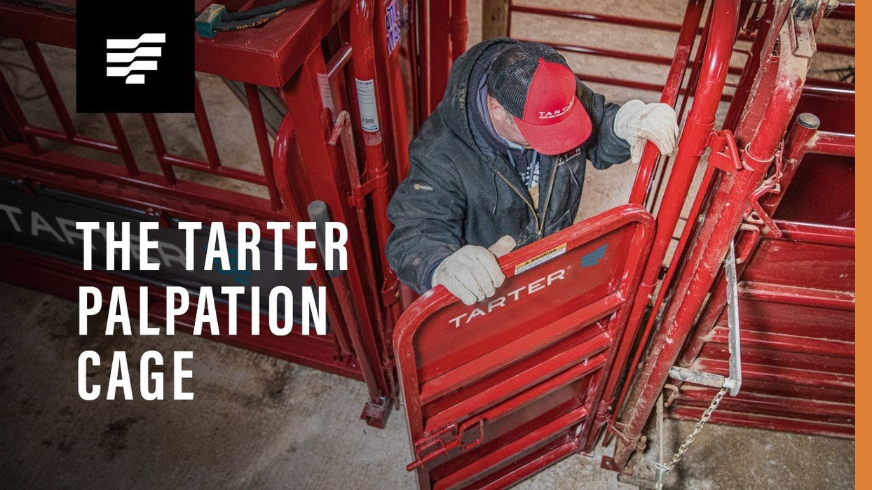 Tarter Cattlemaster Palpation Cage - Tarter