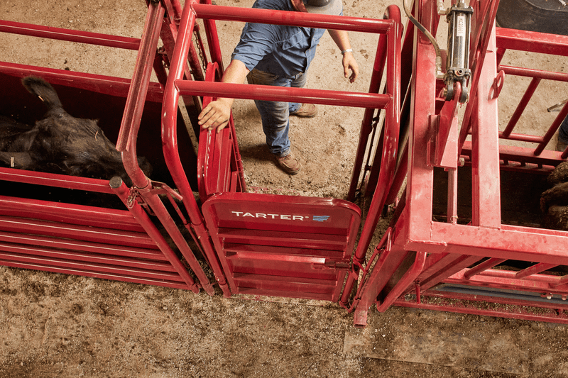 Tarter Cattlemaster Palpation Cage - Tarter