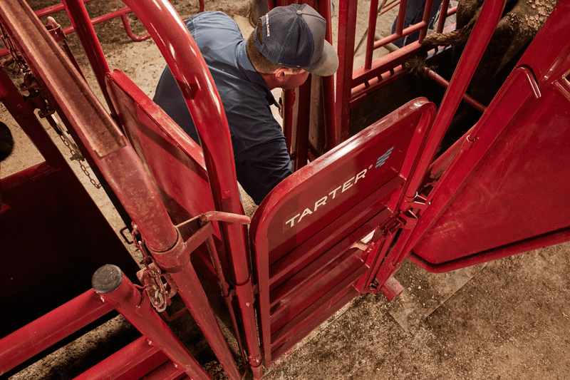 Tarter Cattlemaster Palpation Cage - Tarter