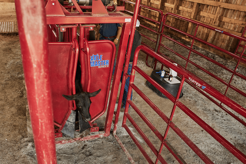 Tarter Cattlemaster Series 12 Hydraulic Chute - Tarter