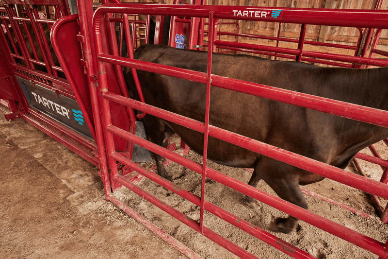 Tarter Cattlemaster Series 12 Hydraulic Chute - Tarter