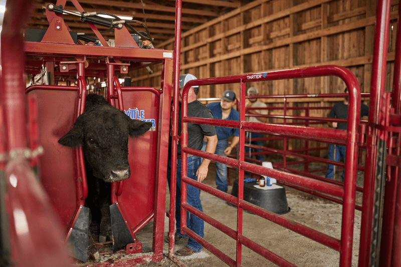 Tarter Cattlemaster Series 12 Hydraulic Chute - Tarter