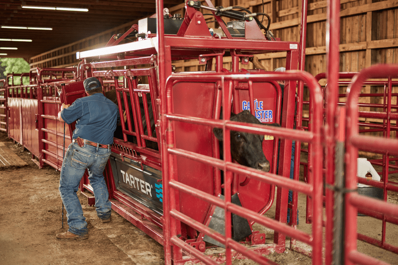 Tarter Cattlemaster Series 12 Hydraulic Chute - Tarter