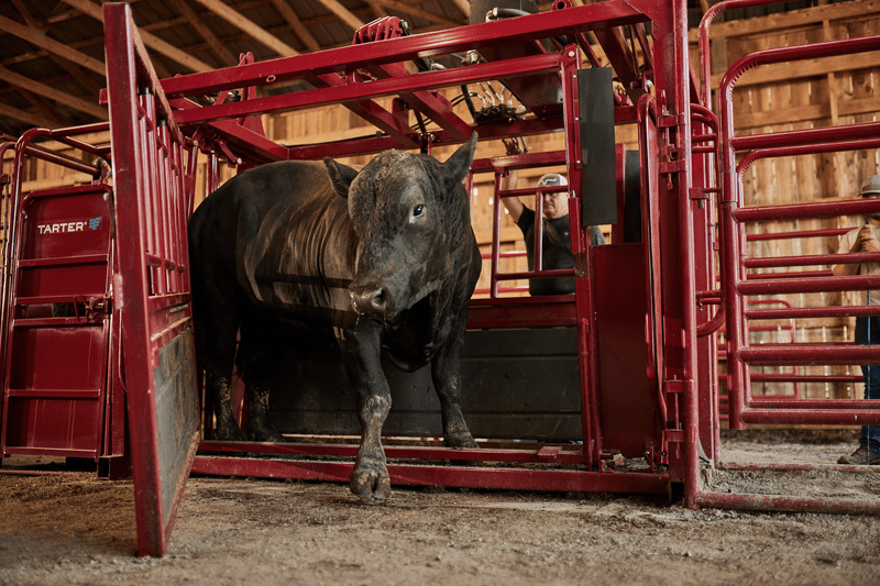 Tarter Cattlemaster Series 12 Hydraulic Chute - Tarter