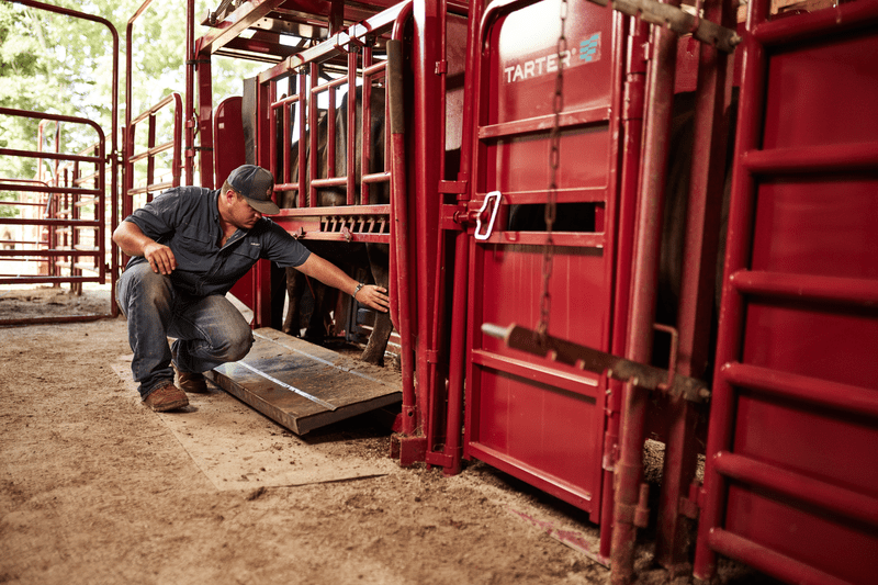 Tarter Cattlemaster Series 12 Hydraulic Chute - Tarter