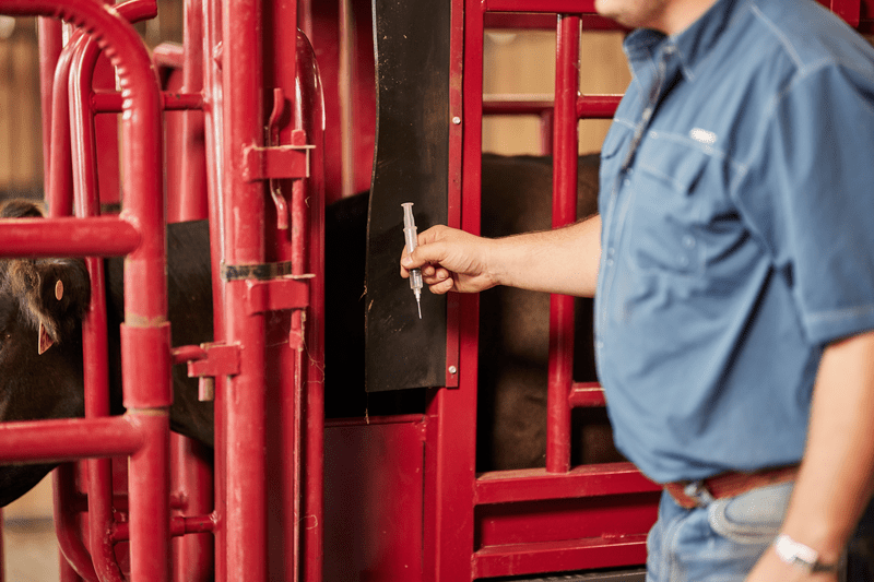 Tarter Cattlemaster Series 12 Hydraulic Chute - Tarter