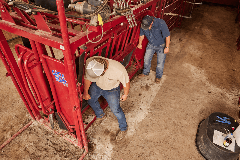 Tarter Cattlemaster Series 12 Hydraulic Chute - Tarter