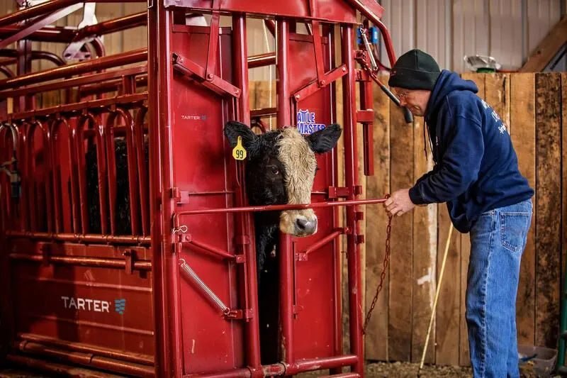 Tarter Cattlemaster Series 6 Squeeze Chute W/ Manual Headgate - Tarter