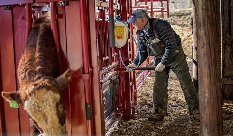 Tarter Cattlemaster Series 9 Squeeze Chute W/ Auto Headgate - Tarter