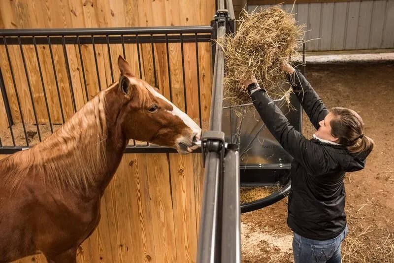 Tarter Corner Mount Galvanized Hay & Grain Feeder - Tarter