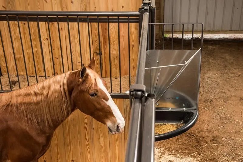 Tarter Corner Mount Galvanized Hay & Grain Feeder - Tarter