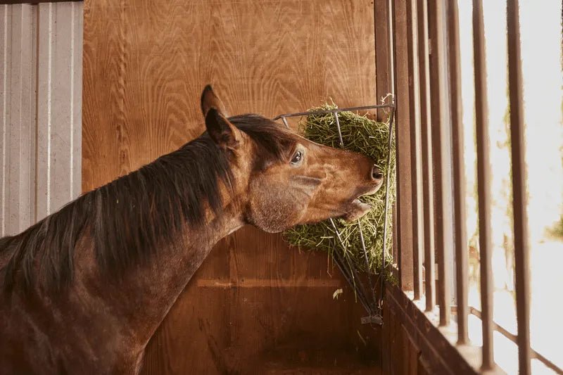 Tarter Corner Mount Galvanized Manger Feeder - Tarter