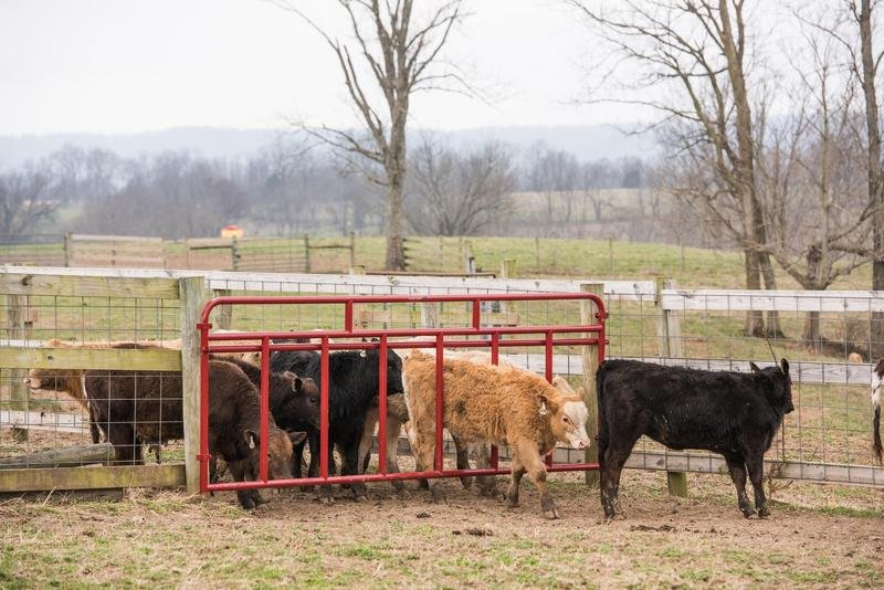 Tarter Creep Feeder Panels - Tarter