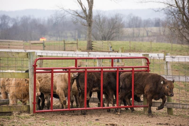 Tarter Creep Feeder Panels - Tarter