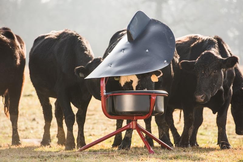 Tarter Elevated Broad Poly Vane Mineral Feeder - Tarter