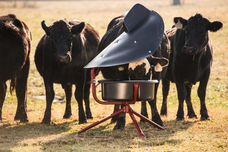 Tarter Elevated Broad Poly Vane Mineral Feeder - Tarter