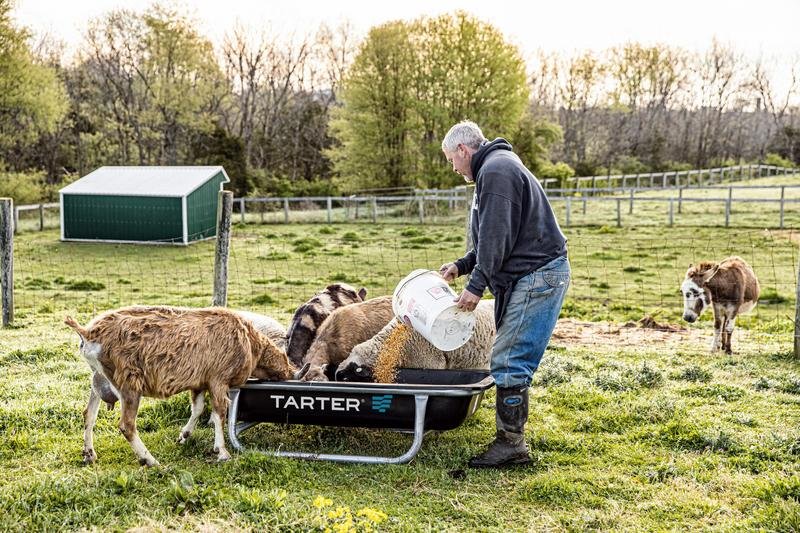 Tarter Goat Bunk Feeder - Tarter
