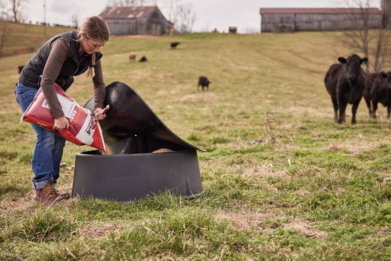 Tarter Ground Level 250 Mineral Feeder - Tarter