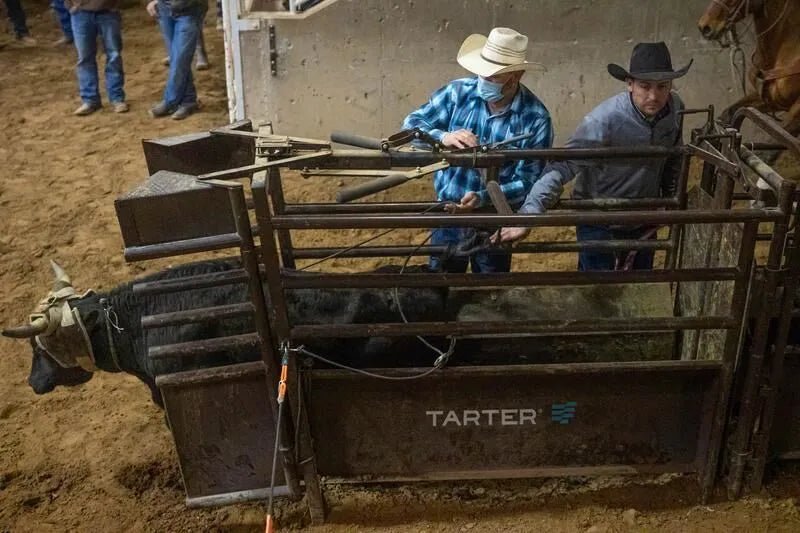 Tarter Manual Roping Chute – Economy - Tarter