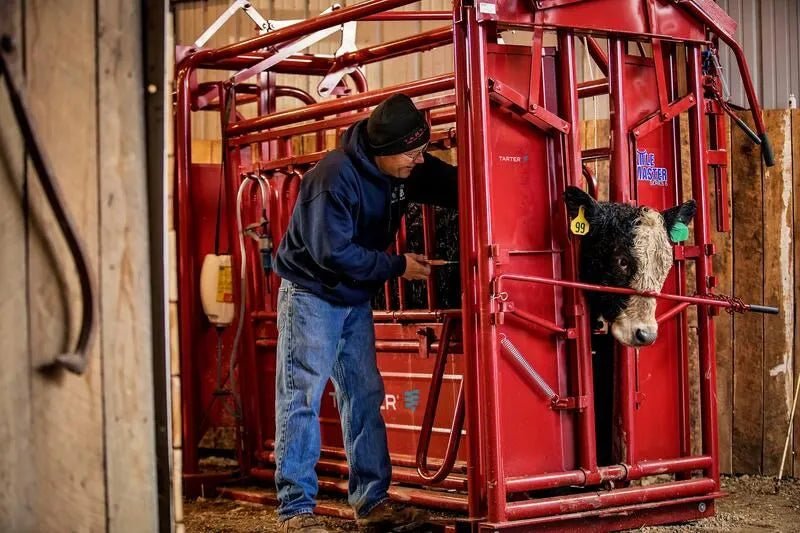 Tarter Nose Bar - Tarter