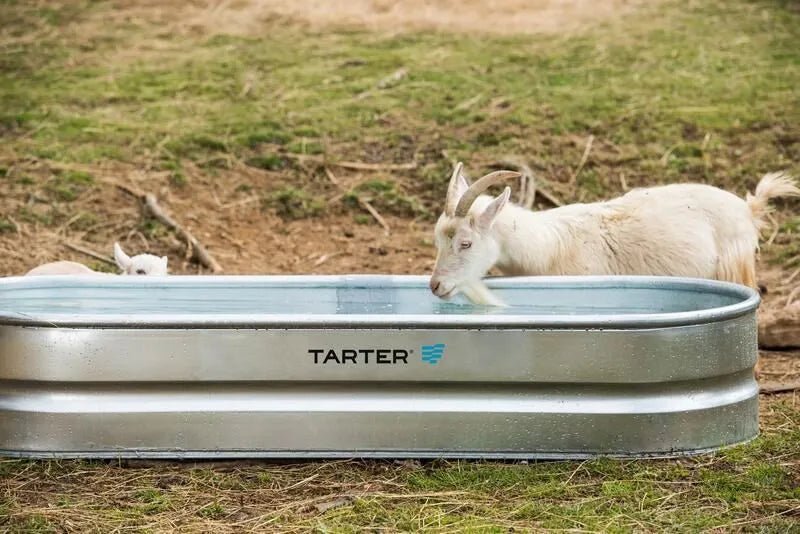 Tarter Oval Dura 70 - Tarter