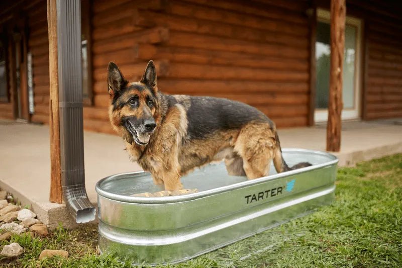 Tarter Oval Dura 70 - Tarter