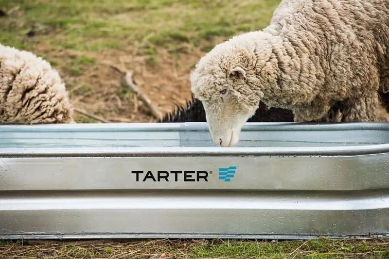Tarter Oval Dura 70 - Tarter