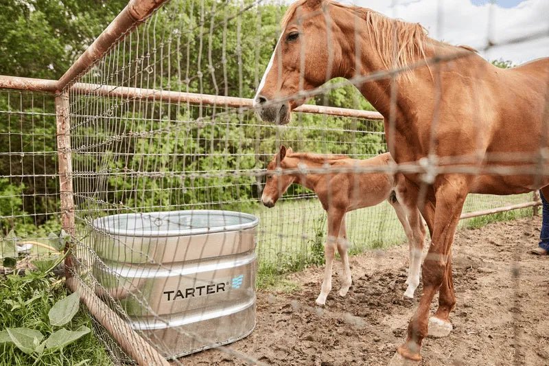 Tarter Oval Dura Tall 70 - Tarter