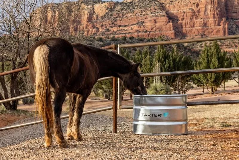 Tarter Oval Dura Tall 70 - Tarter