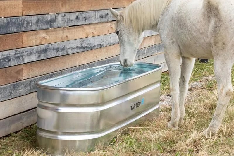 Tarter Oval Mega 220 - Tarter